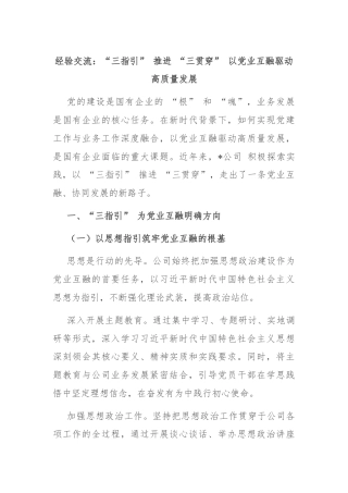 经验交流：“三指引” 推进 “三贯穿” 以党业互融驱动高质量发展