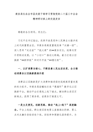 商务局长在全市县处级干部学习贯彻党的二十届三中全会精神研讨班上的交流发言
