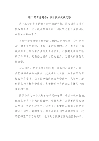 新干部工作感悟：在团队中绽放光彩