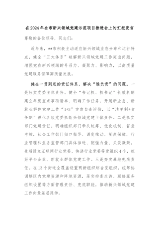 在2024年全市新兴领域党建示范项目推进会上的汇报发言