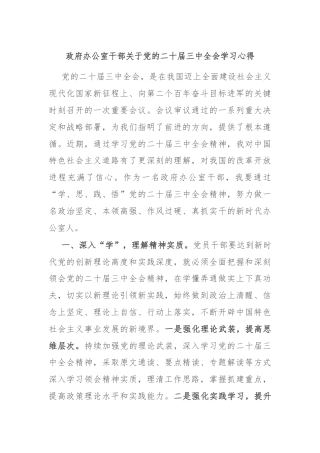 政府办公室干部关于党的二十届三中全会学习心得