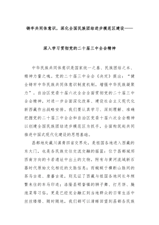 铸牢共同体意识，深化全国民族团结进步模范区建设