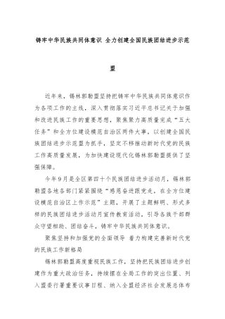 铸牢中华民族共同体意识 全力创建全国民族团结进步示范盟