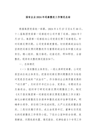国有企业2024年巡察整改工作情况总结