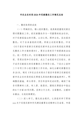 市农业农村局2024年巡察整改工作情况总结