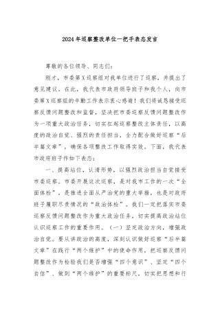 2024年巡察整改单位一把手表态发言