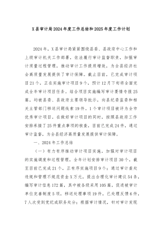 X县审计局2024年度工作总结和2025年度工作计划