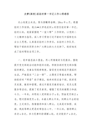 大学(高校)派驻村第一书记工作心得感悟