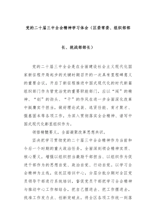 党的二十届三中全会精神学习体会（区委常委、组织部部长、统战部部长）