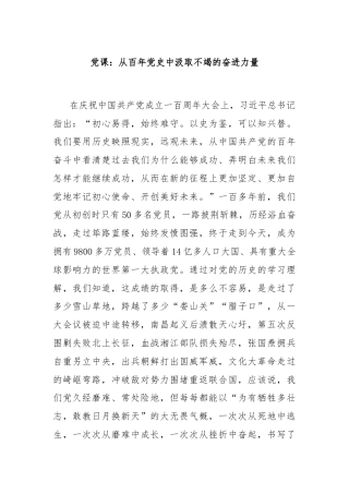 党课：从百年党史中汲取不竭的奋进力量
