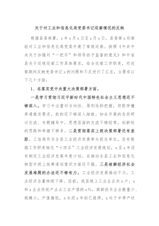 关于对工业和信息化局党委书记巡察情况的反映