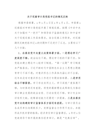 关于巡察审计局党组书记的情况反映