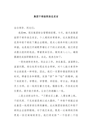 集团干部挂职表态发言