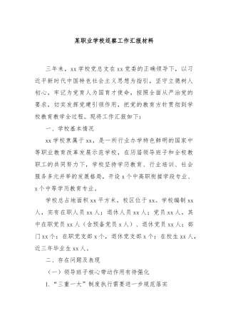 某职业学校巡察工作汇报材料