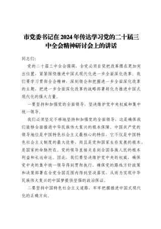 市党委书记在2024年传达学习党的二十届三中全会精神研讨会上的讲话