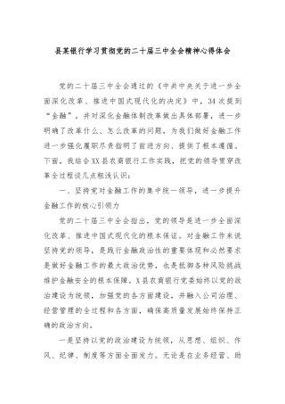 县某银行学习贯彻党的二十届三中全会精神心得体会