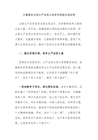 乡镇落实全面从严治党主体责任经验交流材料