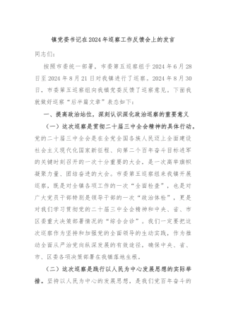 镇党委书记在2024年巡察工作反馈会上的发言