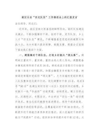 副区长在“四支队伍”工作推进会上的汇报发言