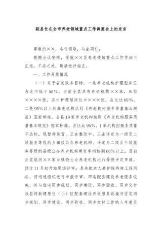 副县长在全市养老领域重点工作调度会上的发言