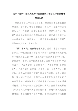 关于“两新”组织党员学习贯彻党的二十届三中全会精神情况汇报