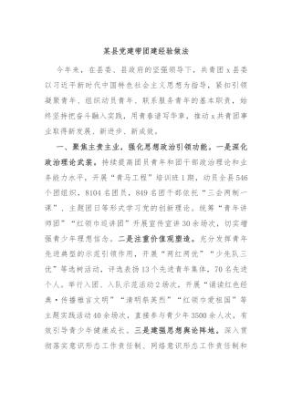 某县党建带团建经验做法