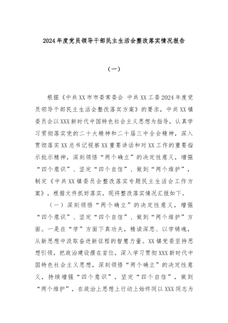 2024年度党员领导干部民主生活会整改落实情况报告（一）