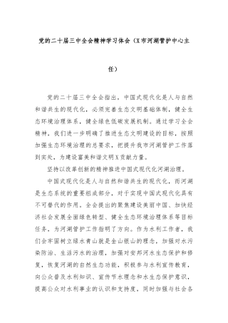 党的二十届三中全会精神学习体会（X市河湖管护中心主任）