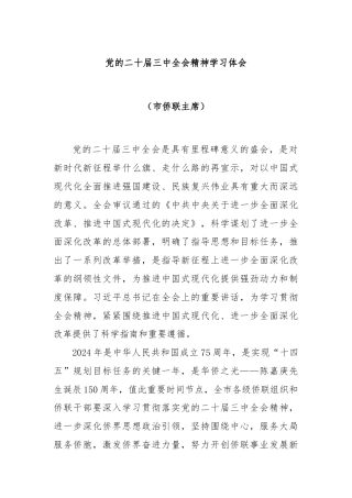 党的二十届三中全会精神学习体会（市侨联主席）
