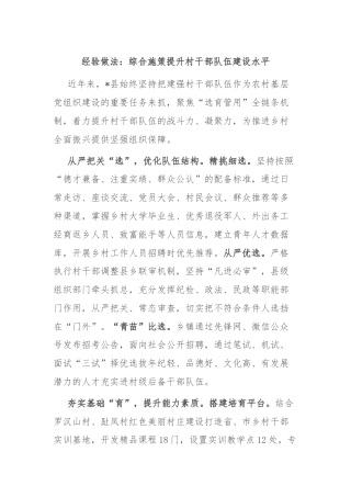 经验做法：综合施策提升村干部队伍建设水平