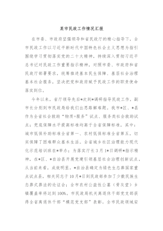 某市民政工作情况汇报