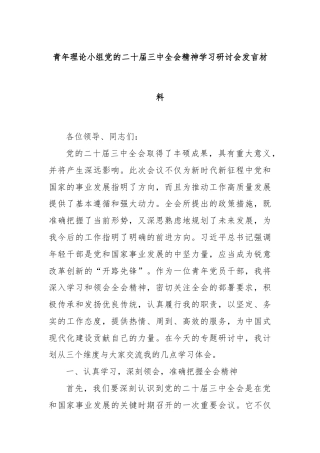 青年理论小组党的二十届三中全会精神学习研讨会发言材料
