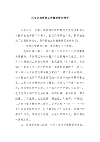 区审计局帮扶工作推进情况报告