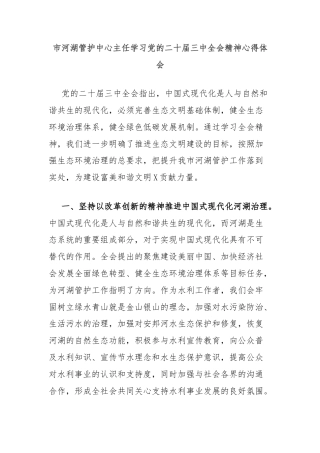 市河湖管护中心主任学习党的二十届三中全会精神心得体会