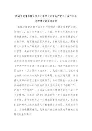 统战系统青年理论学习小组学习中国共产党二十届三中全会精神研讨交流发言