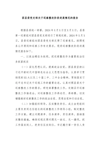 团县委党支部关于巡察整改阶段进展情况的报告