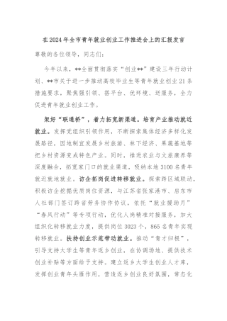 在2024年全市青年就业创业工作推进会上的汇报发言
