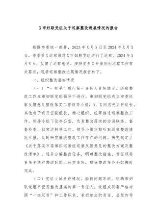 X市妇联党组关于巡察整改进展情况的报告