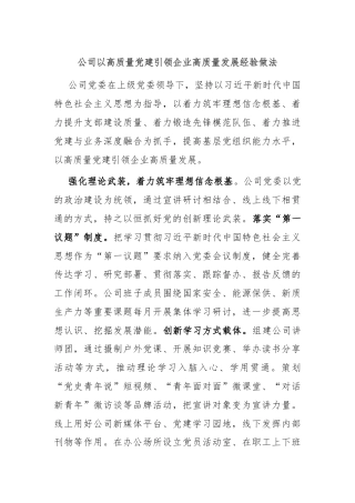 公司以高质量党建引领企业高质量发展经验做法