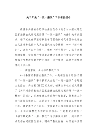 关于开展“一案一整改”工作情况报告