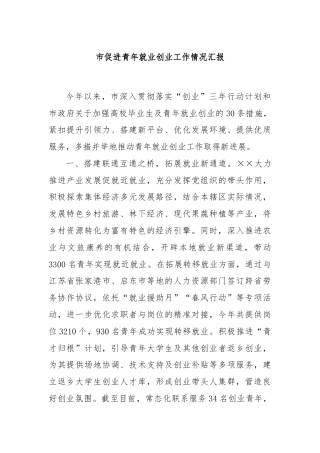 市促进青年就业创业工作情况汇报
