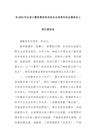 在2024年全省小餐饮落实食品安全主体责任试点推进会上的汇报发言