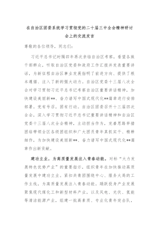 在自治区团委系统学习贯彻党的二十届三中全会精神研讨会上的交流发言