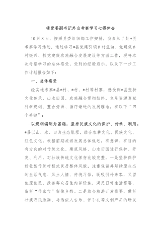 镇党委副书记外出考察学习心得体会