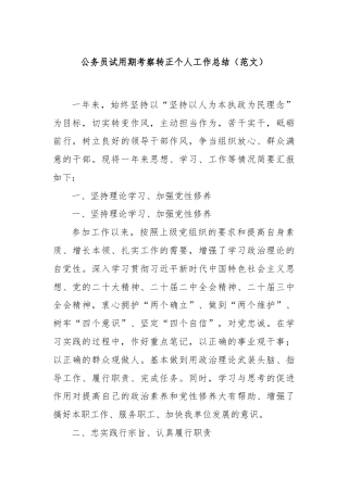 公务员试用期 考察转正个人工作总结（范文）