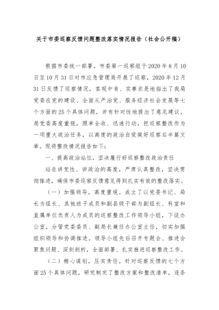 关于市委巡察反馈问题整改落实情况报告（社会公开稿）