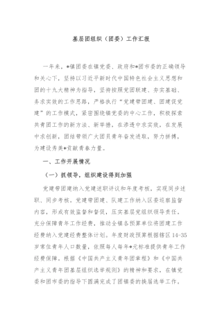 基层团组织（团委）工作汇报