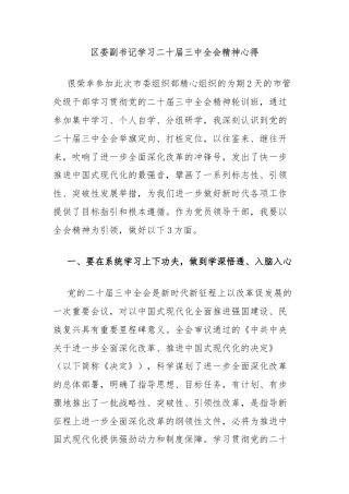区委副书记学习二十届三中全会精神心得