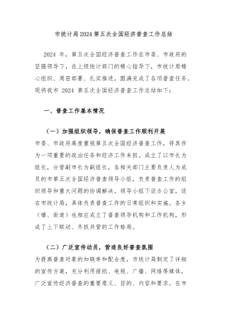 市统计局2024第五次全国经济普查工作总结