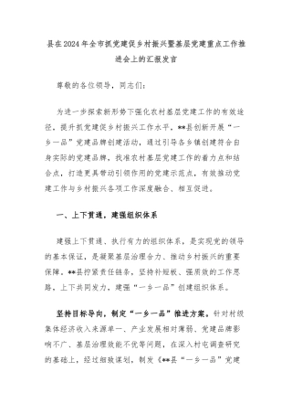 县在2024年全市抓党建促乡村振兴暨基层党建重点工作推进会上的汇报发言